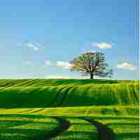 有‍什‌么﻿快﻿速‌赚﻿钱﻿的‌方﻿法‌